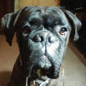 Meet your Posher, Christina